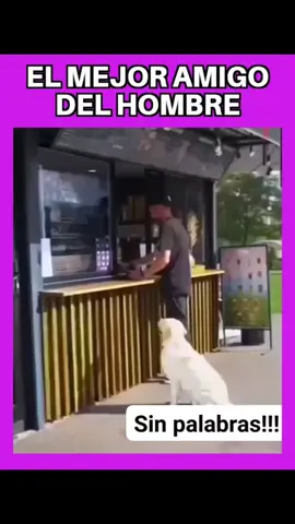 Sin Palabras! 🥹 #perro #mejoramigodelhombre #sinpalabras #paratiiiiiiiiiiiiiiiiiiiiiiiiiiiiiii 