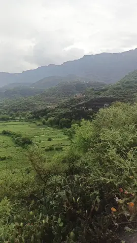 #اجواء البلاد #اكسبلورexploreفولو لايك كومنت متابعه