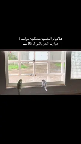 #مبارك_المطرباني #4u #foryoupage #tiktok #foryou 