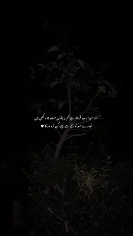 🤍🙌🏻|#foryoupage #viralvideo #islamic_video #islamiccontentecreater #foryoupage 