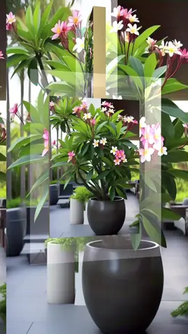 #👑اللهم آمين 👑#fypシ゚viraltikto #CapCut #creatorsearchinsights #هاشتاج100مليار 