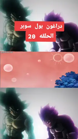 دراغون بول سوبر الحلقه 20#سون #غوكو #غوكو_ملك_الفخامة🔥👑 #انمي_anime #drago 
