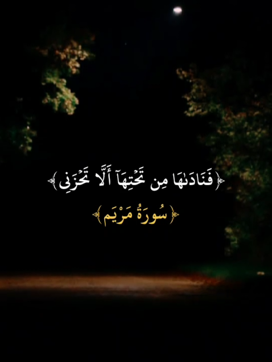 -سورة مريم&القارئ/مشاري العفاسي 🍂🤎  #قران #العفاسي #مشاري_العفاسي #سورة_مريم #فناداها_من_تحتها_الّا_تحزني 