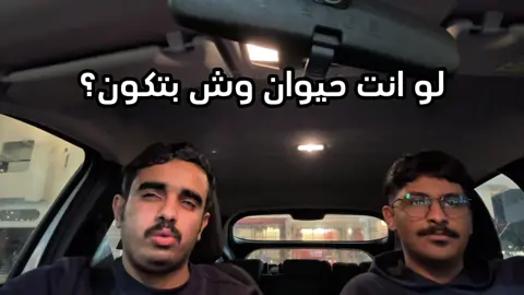 لعلنا تعمقنا بالموضوع هههههه #ذبات #طقطقة_ضحك #فلوقات_تيك_توك #شطحات #ابوعمر_فالكونز 