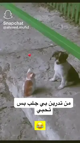 #الشعب_الصيني_ماله_حل😂😂 