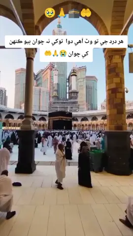 هر درد جي تو وٽ آهي دوا توکي نہ چوان ٻيو ڪنهن کي چوان 😭🥹🙏 (سِنڌي نعت) #سبحان_الله_و_بحمده_سبحان_الله_ 