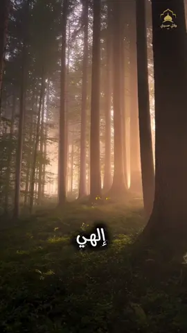 إلهي، أنت ملك العطايا، وأنا أسير الخطايا .. مناجاة للإمام السجاد (ع)#نسألكم_الدعاء #كربلاء #النجف_الأشرف #القطيف_الشععب_اللطيف 