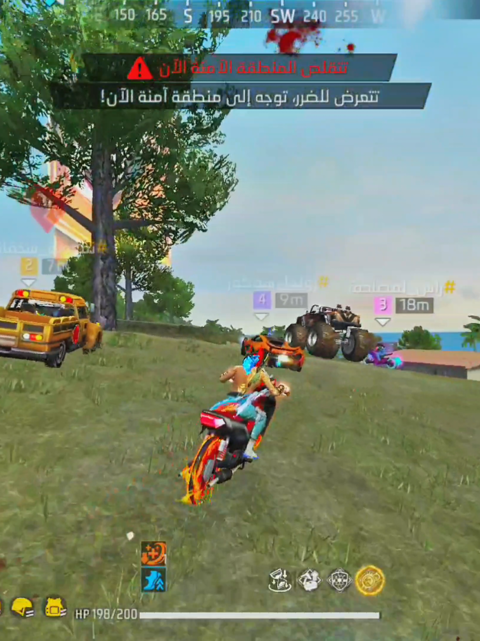 احمق مطاردة 