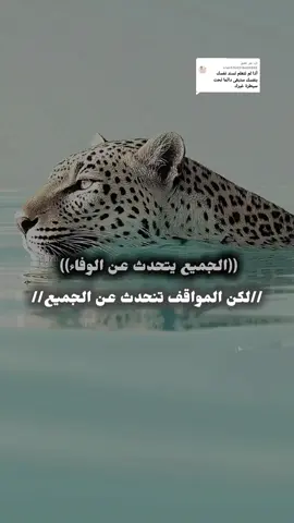 الرد على @user5760318459802 #دارحامد_عزي_وفخري💪❤ 