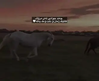 #kurdstan #hawler #folome #aktiv #gullm18 ☺