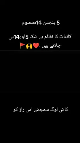 بےشک خدا نے کائنات کا نظام چلنے کے لیے پنجتن پاک اور چودہ کو بھیجا ❤️🚩🙌🙌❤️#tiktok #viralvideo #unfreezemyaccountplz🙏🙏 #♥️♥️♥️🚩🚩🚩🚩🚩🚩❤️❤️❤️❤️❤️‍ 