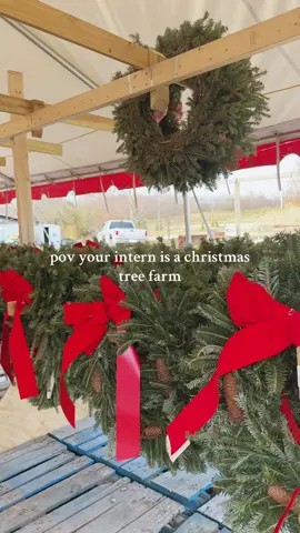 makes me so excited for christmas #fyp #christmastreefarm #christmas #viral #creatorsearchinsights 