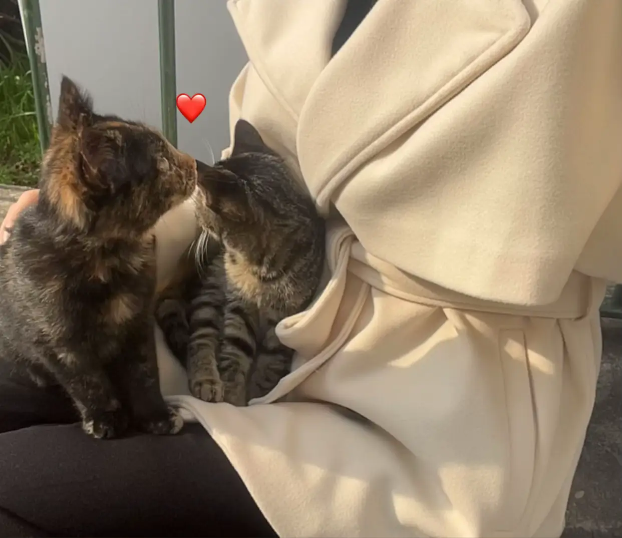 قلبي عاشق❤️