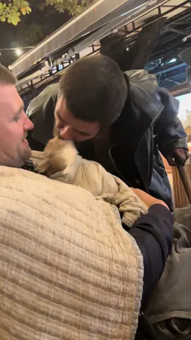 #pisendryakel #Lukas #chihuahua #lukasmoney #dog 