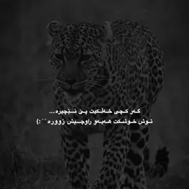 🐆#barzani #mzuri #iraq #fouryou #everyone 