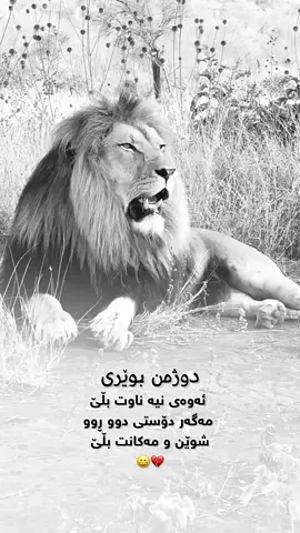 #لایکو__فۆڵۆلەبیر_مەکەن❤️❤️ 