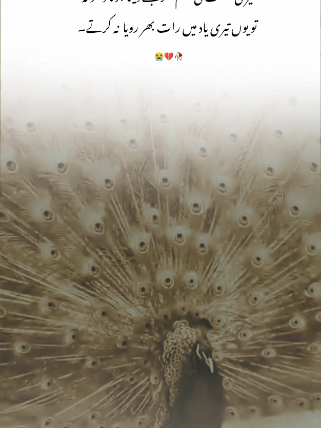 it's true 💯🥹  #virlvideo #line #unfrezzmyaccount #foryou #poetry 