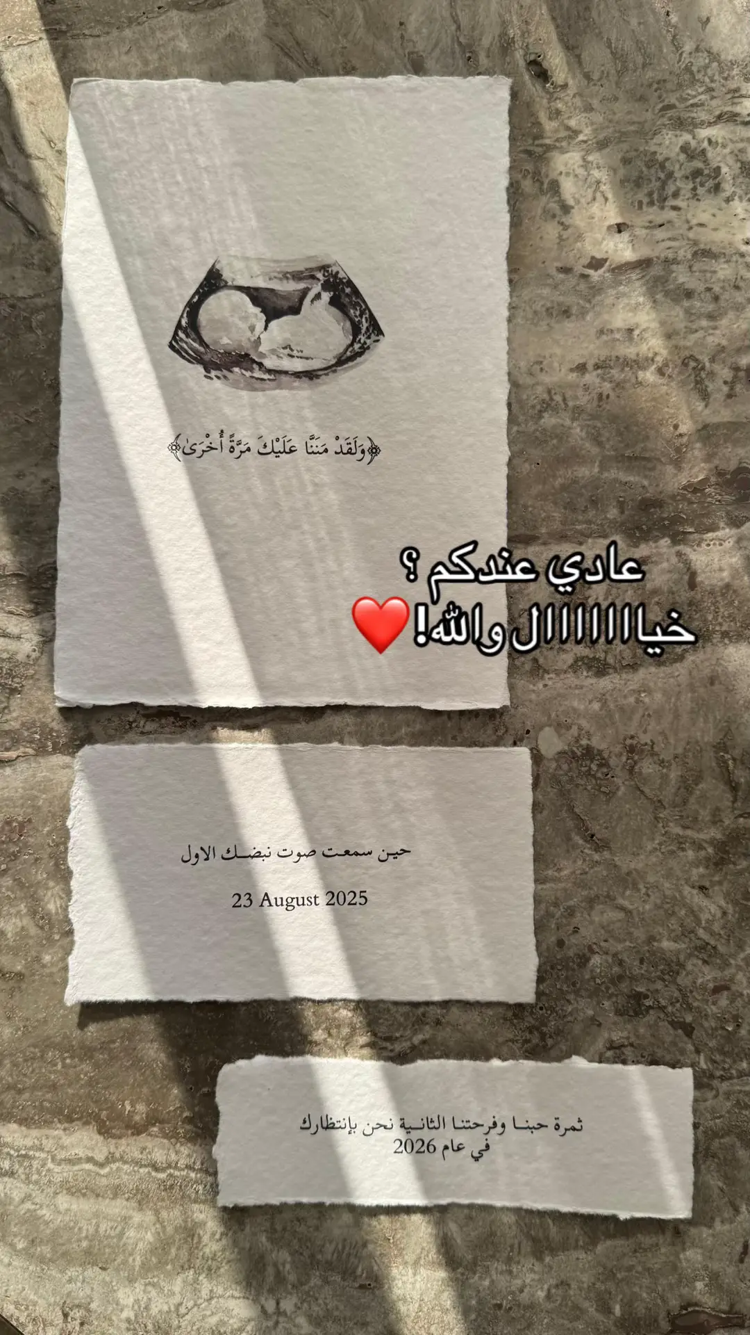 #ورق_قطن #كشف_الجنين #بشارة_مولود #jeddah #explore 