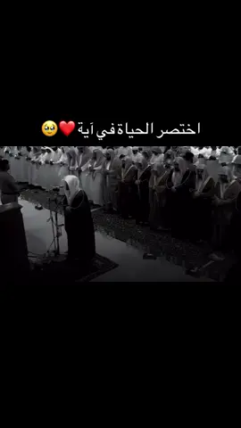 #قرآن_كريم_راحة_نفسية🌷🌻 