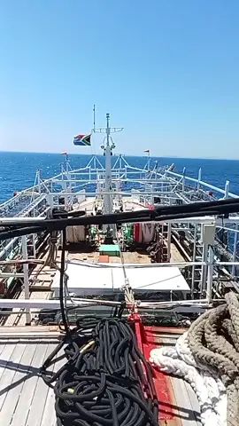 #####kaum kuli kapal samba cumi taiwan.💪💪🇼🇸