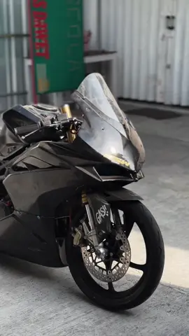 fosil berdebu, baru ditemukan dibawah gurun pasir🤓 #mswyk 