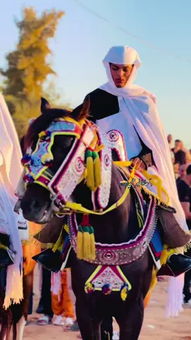 #الرقم_الصعب🔥👑 #بسم_الله_مشاء_الله_وربي_يبارك🤲🏻🧿🖤 #خيل_وخياله🐎 #الله_يبارك😉❤️🖐🏻 #الشعب_الصيني_ماله_حل😂😂 