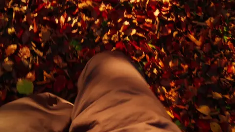 I love autumn in the mountains. #cinematic #filmmaking 