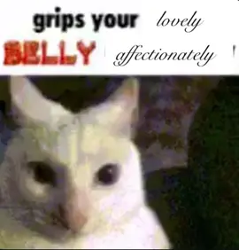 Uuuu you wanna check out my YouTube soooo badddd #voiceacting #voiceactedmeme #catsoftiktok #kitties #funnymemes 