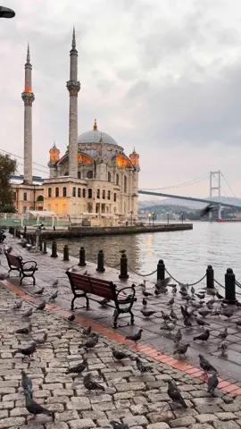“O R T A K Ö Y 🤍🕊️