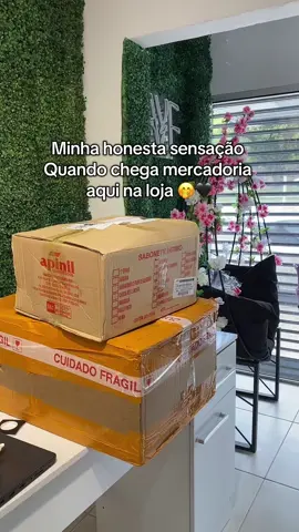 Minha honesta sensação quando chega mercadoria nova na loja 😂#lojademaquiagem #fy #loja #santacruzdosul #foryoupage 