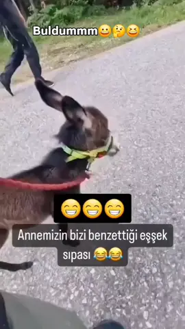 #fyppppppppppppppppppppppp #keşfetteyizzz #gelindamat #komikreplikler  #komikvideolar 