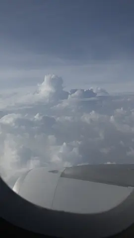 #الشعب_الصيني_ماله_حل 