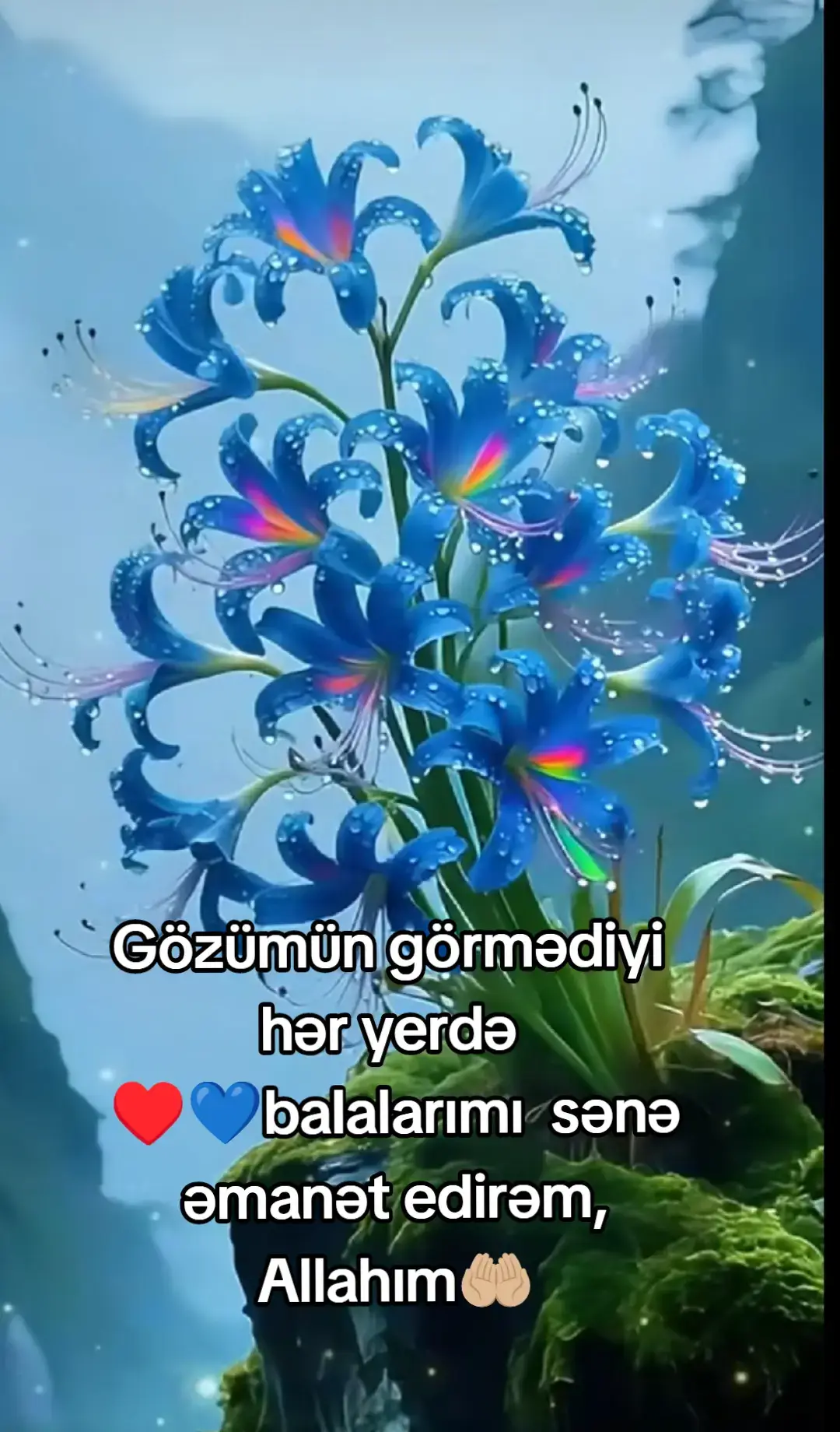 Allah bütün balaları qorusun, içində də mənim balalarımı 🤲🏼🤲🏼♥️💙