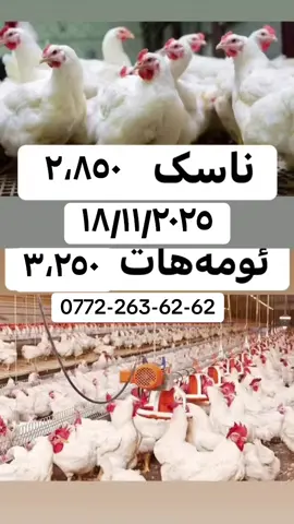 سلێمانی وڵووبە (07722636262)