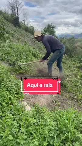 Serviço satisfatório #agro #roça #diadia 