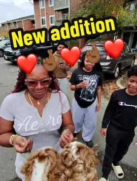 New addition to the family ❤️ ##toypoodle##pet##puppy##puppiesoftiktok##fyp