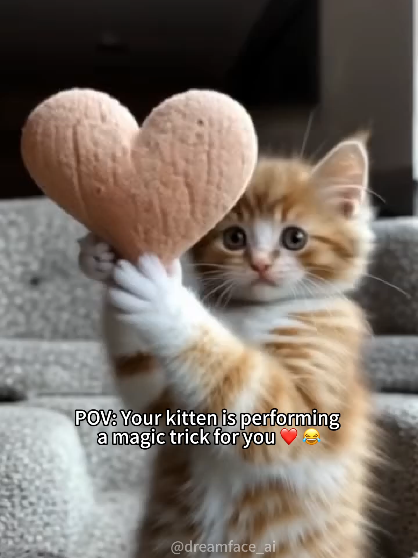Watch till the end! You won't believe this little kitten is actually a magician. #dreamface ##cutekitty #cat #kittycat #cutecat