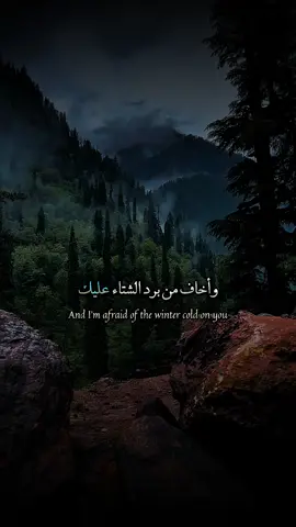 وأغار من برد الشتاء عليك. . . . . . . . . #كلمات #عبارات #اقوال #اقتباسات 