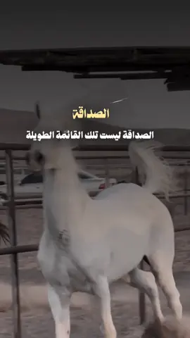 الصداقة ليست تلك القائمة الطويلة ‏بأسماء الأشخاص في هاتفك .  ‏بل هي في وجود أشخاص ‏  يساندونك   في قوتك وضعفك وكل ظروف الحياة.