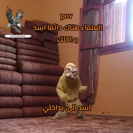 حصل 😂 #fyp #fouryou #foryoupage 