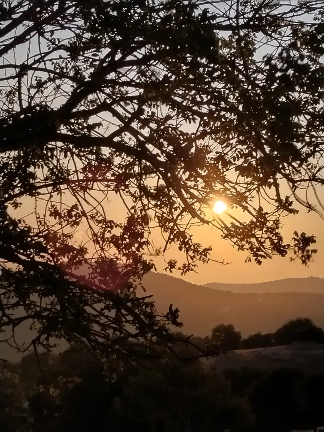 #your_coffee #الاردن 