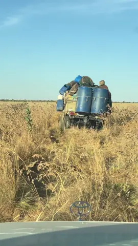 #عثمان👑صحروي 