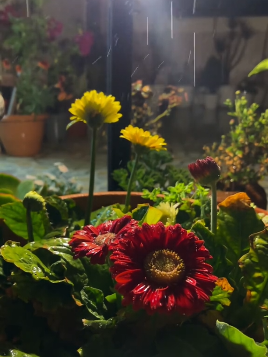 Herkes farklı birşekilde tükeniyor şu hayatta...