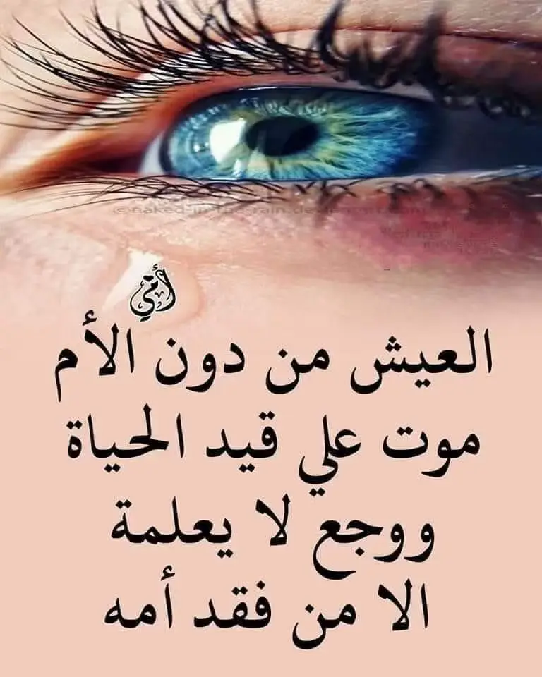 امي امي امي 😥😥ً اللهم ارحم ك ويغفرلك  يارررررررب 🙏😥😥