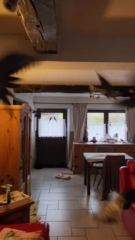 un moment de folie 😍🥰😍