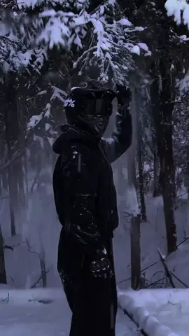тогда я знатно афигела, взяла сосну за ветку, чтобы сделать красивый кадр для фото, а в итоге огромный ком снега закатился мне за шиворот зипки, а потом и термухи мой ТГК https://t.me/Mcmila_fighty #recommendations #moto #motorcycle #fypシ #recomendation #глобальныерекомендации #rec 