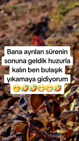 #tiktokkeşf #komikvideolar #beniöneçıkart😉😉😁😁😂😂 #keşfetteyizzz #keşfetteyizzz 