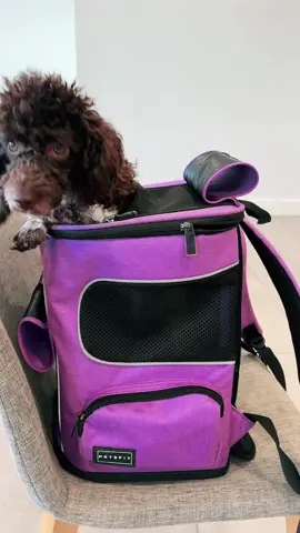 [5-year warranty] PETSFIT Dog  #petcarrier 
