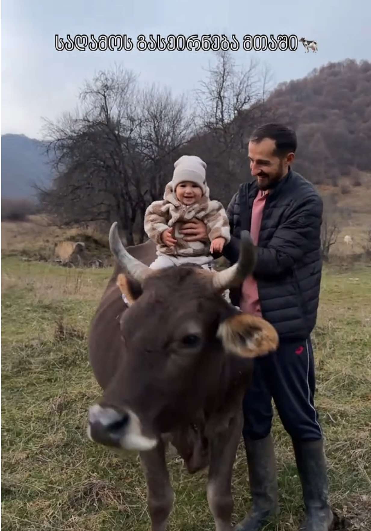 დღეს აღარ მოუწია დათუს მამიკოს ლოდინი, ჩვენც წავედით მთაში🥰🐄