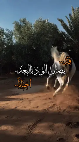 #ستوريات #أكسبلورر #تيك_توك #فولو #fyp 